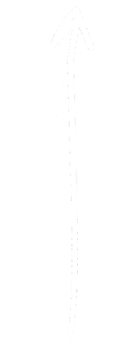 straight-arrow